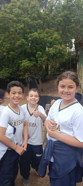 Bicho Mania 2022